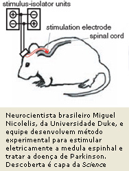 Neurocientista brasileiro Miguel Nicolelis, da Universidade Duke, e equipe desenvolvem método experimental para estimular eletricamente a medula espinhal e tratar a doença de Parkinson. Descoberta é capa da Science